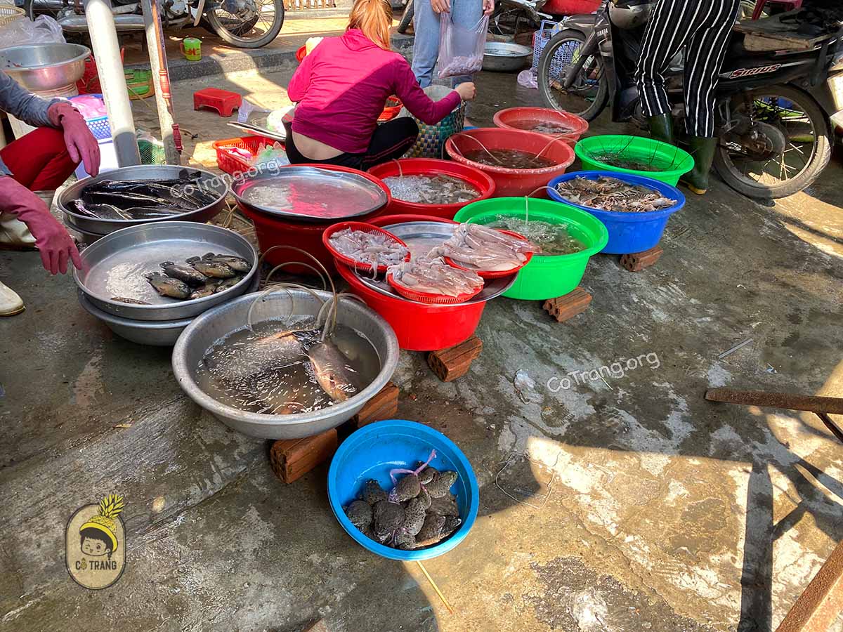 Hải sản tươi sống tại chợ Bắc Mỹ An Đà Nẵng